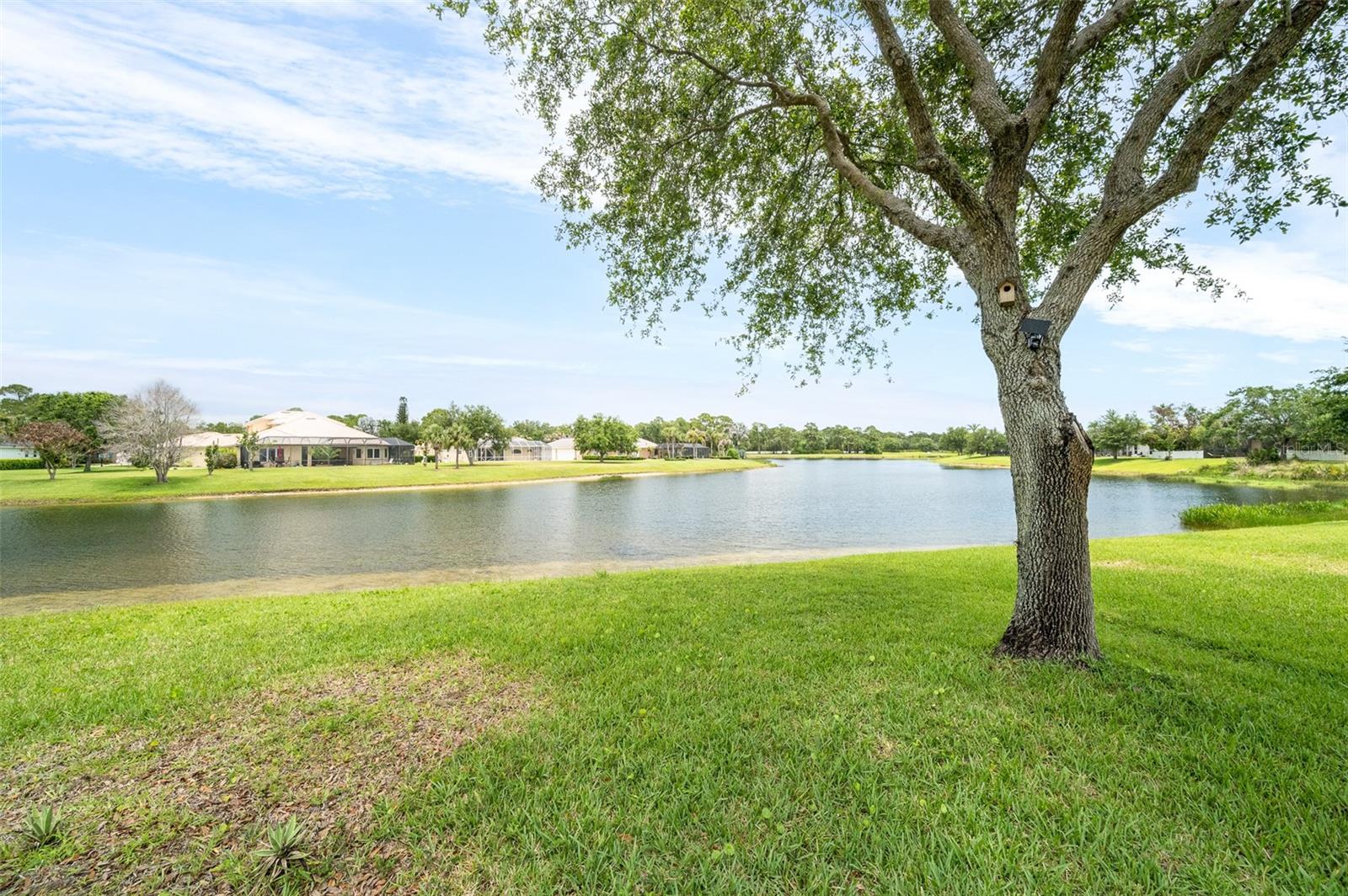 MAGNOLIA PARK AT BAYSIDE LAKES - Residential