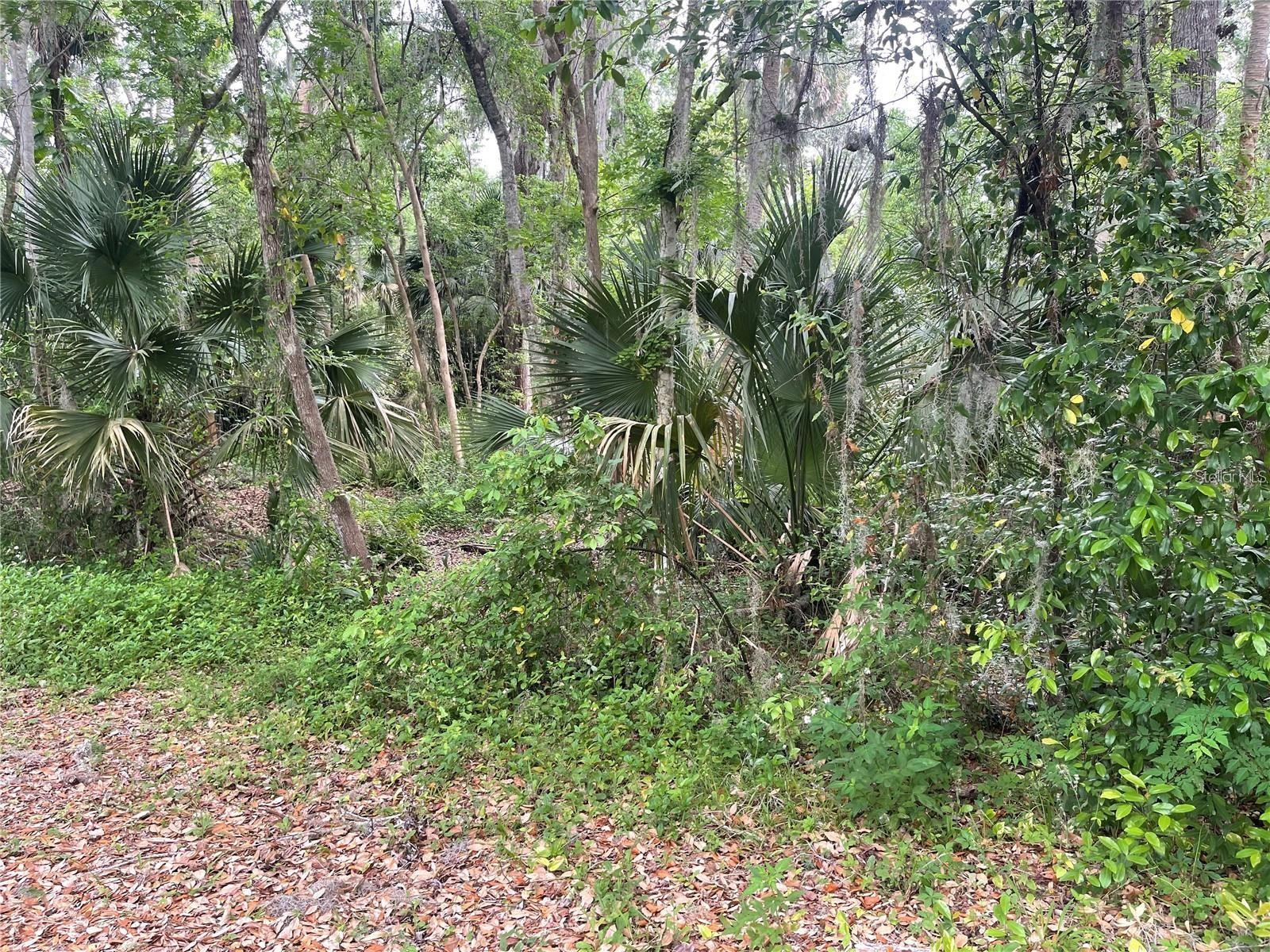 PLANTATION ESTATES UNIT 31 - Land