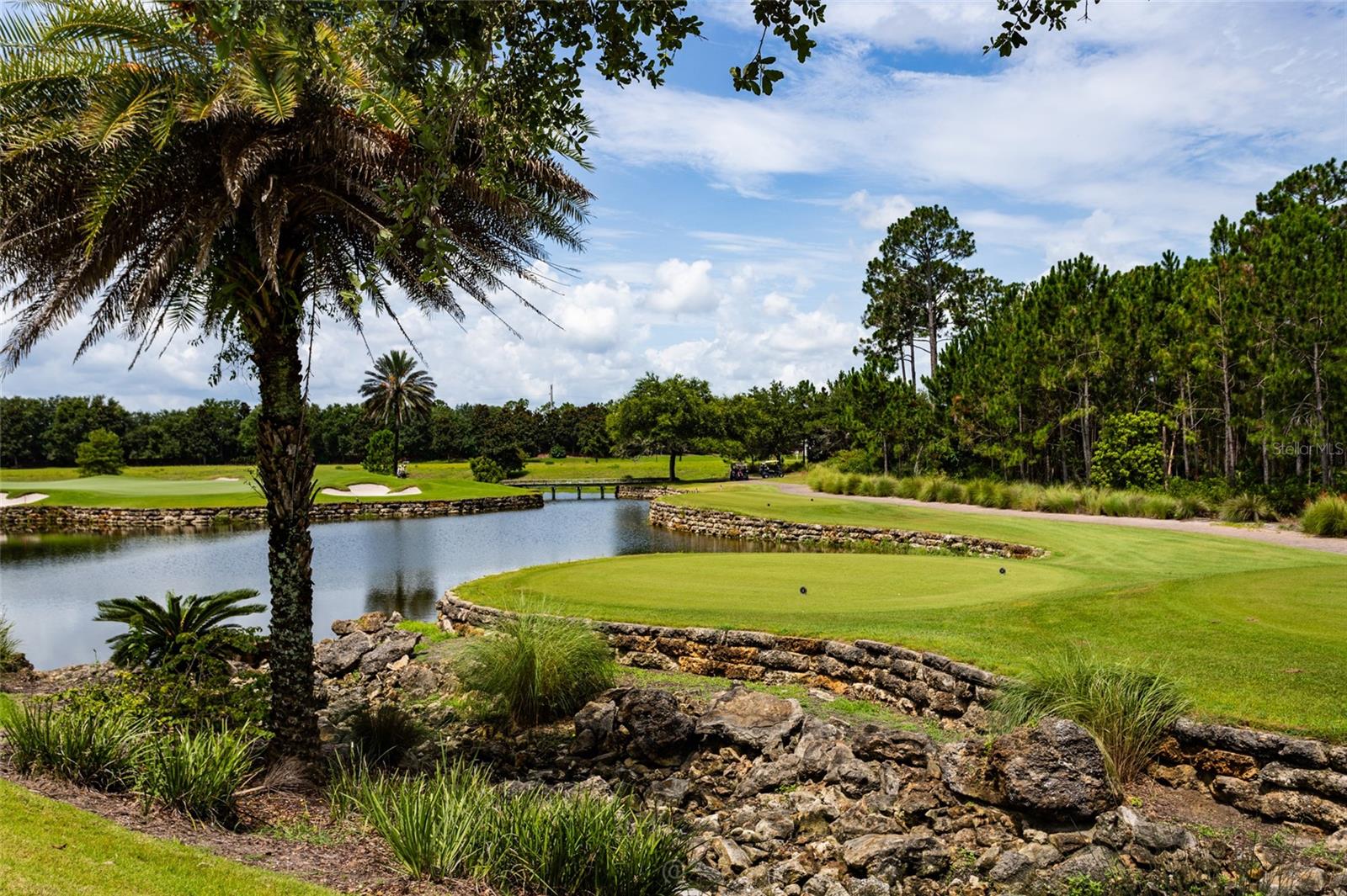 CONSERVATORY/HAMMOCK BEACH - Residential