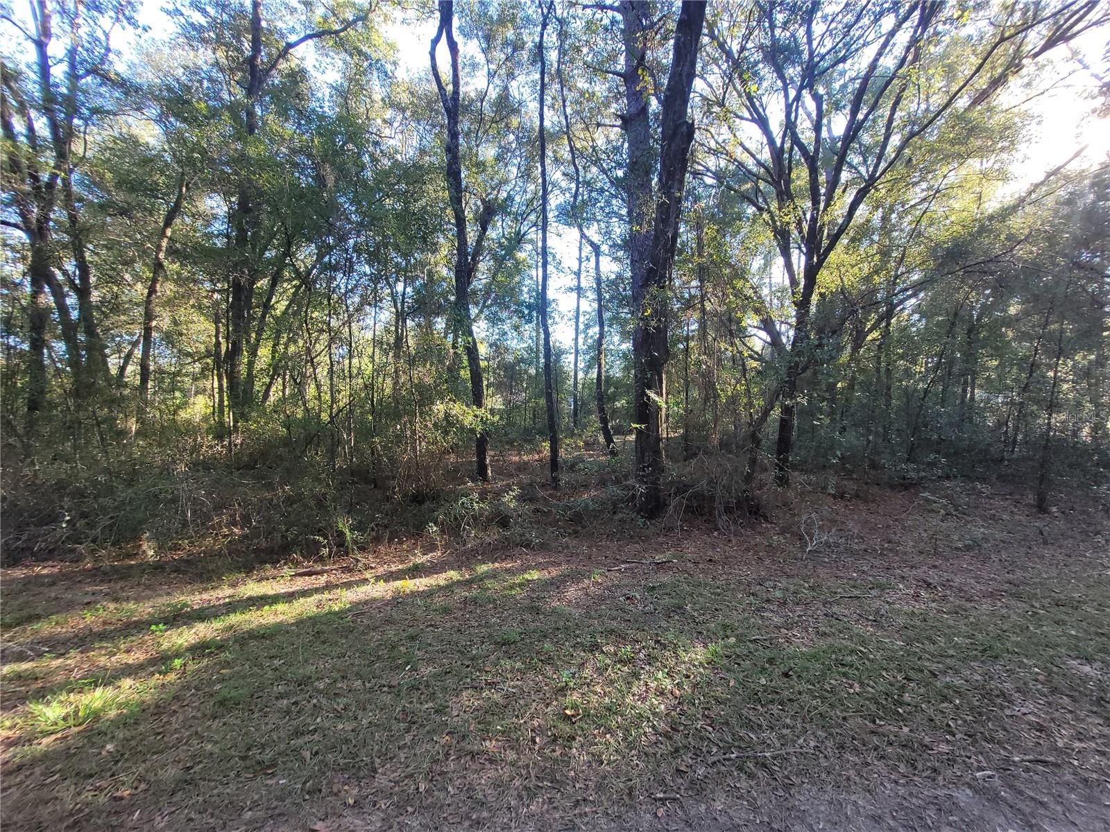 Must See!!  Great Location to  Build your Dream home.  Close to Boating, Fishing, Hiking and Much More. Close to the Equestrian Center. D Do not wait!! Any question please call!!