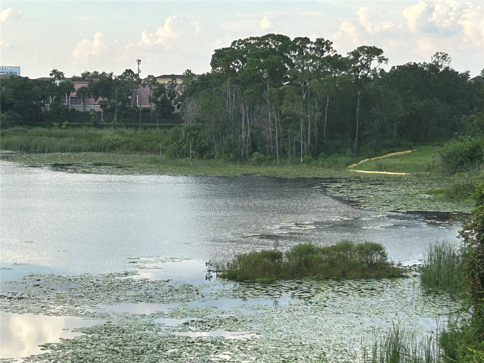 SANDLAKE PRIVATE RESIDENCES - Residential Lease