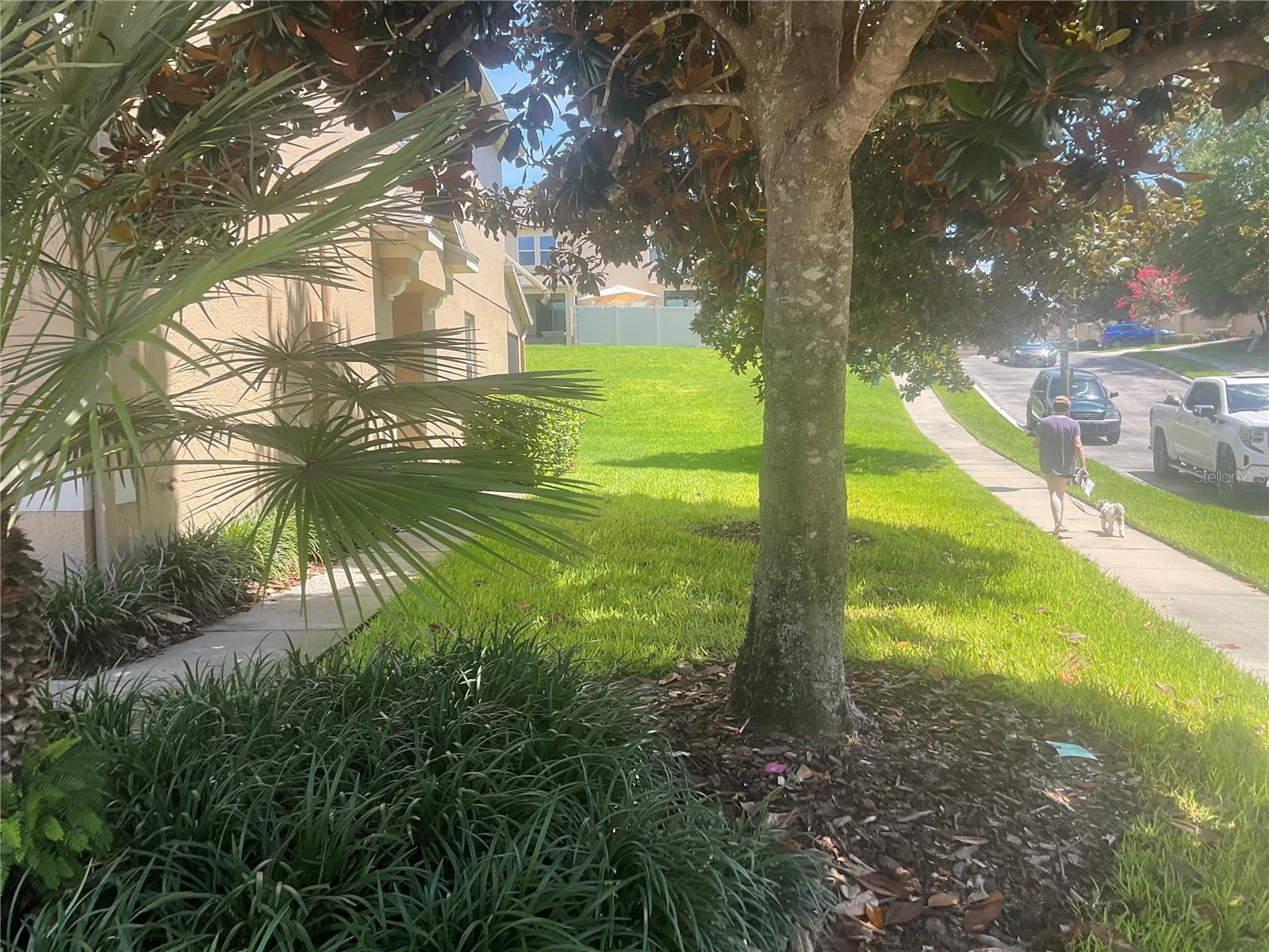 RESERVE AT MEADOW LAKE - Residential