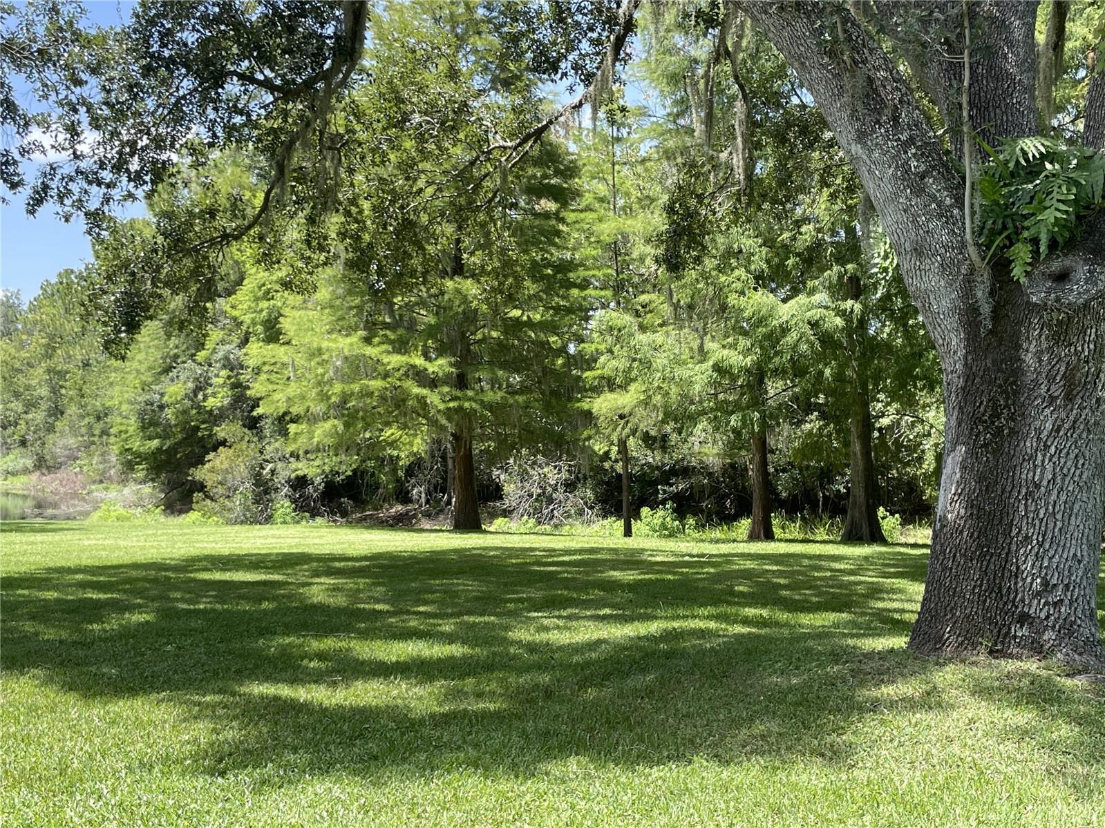 TAMPA PALMS AREA 2 7E UNIT 2 - Residential