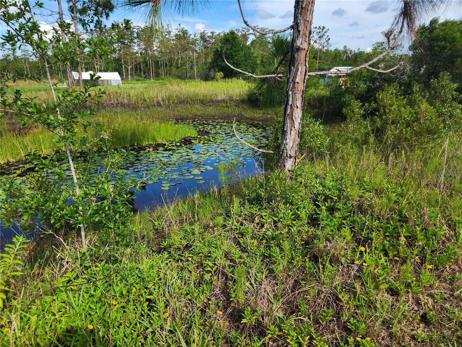 CANAVERAL ACRES 2 - Residential