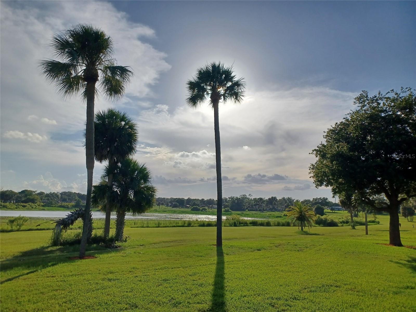 ERROL CLUB VILLAS 03 - Residential