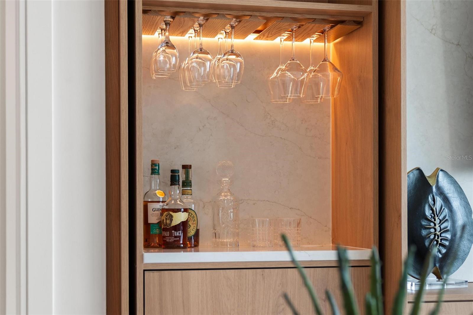ONE ST PETERSBURG CONDO - Residential