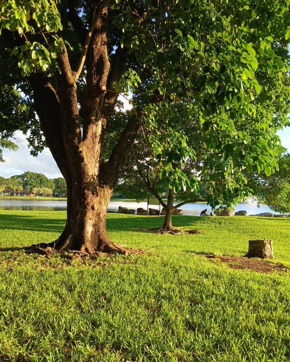 HAMMOCK TRAILS - Residential Lease