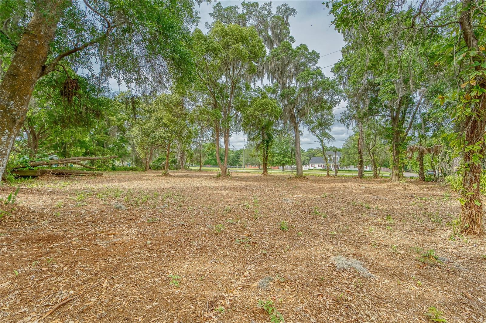 UNPLATTED - Land