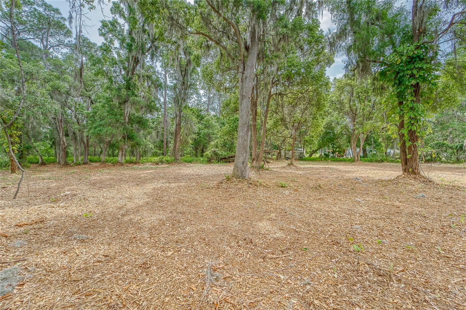 UNPLATTED - Land