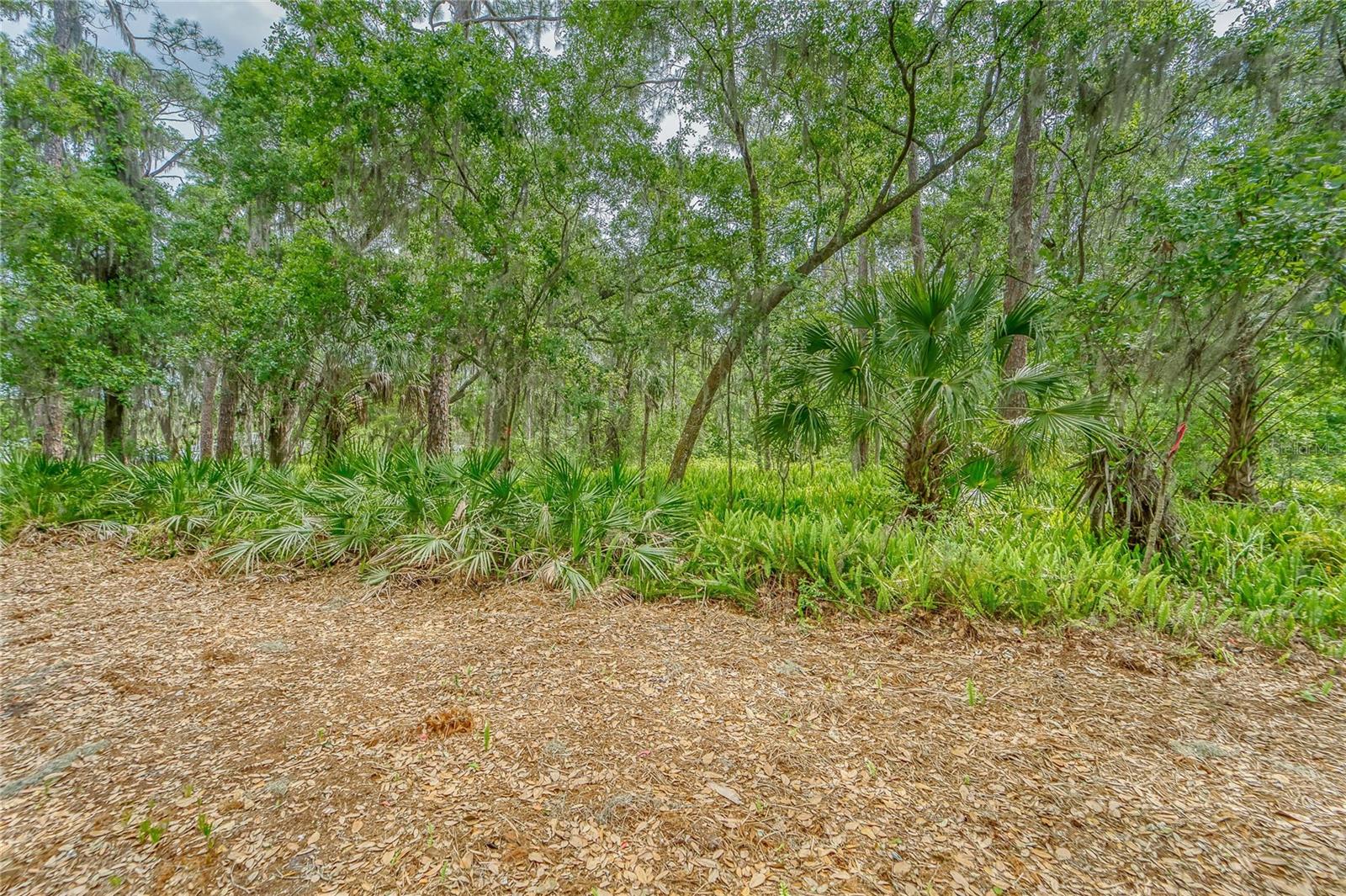 UNPLATTED - Land