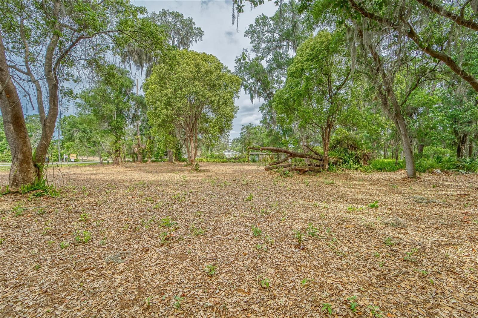 UNPLATTED - Land
