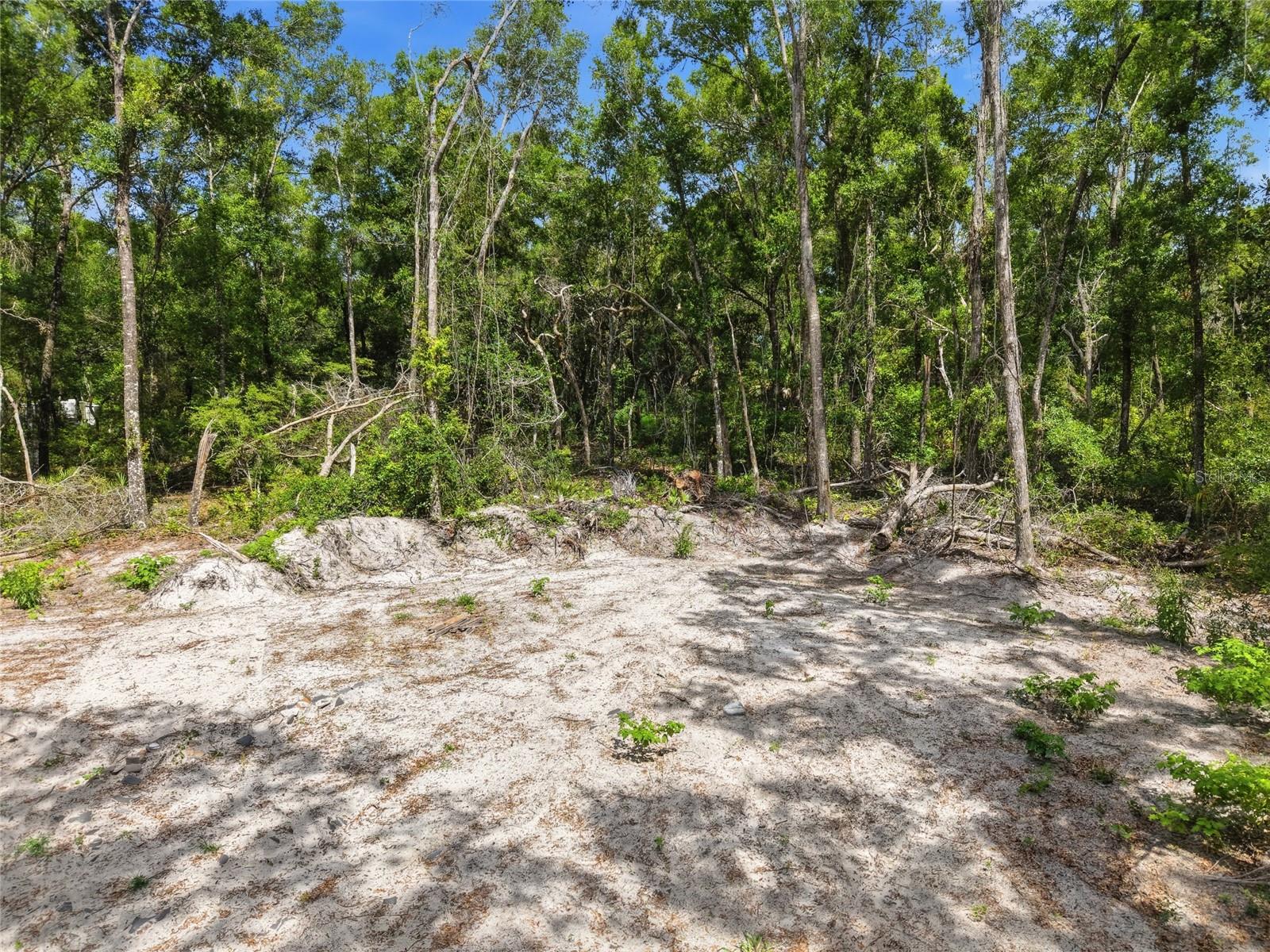 DRUMMOND ESTATES - Land