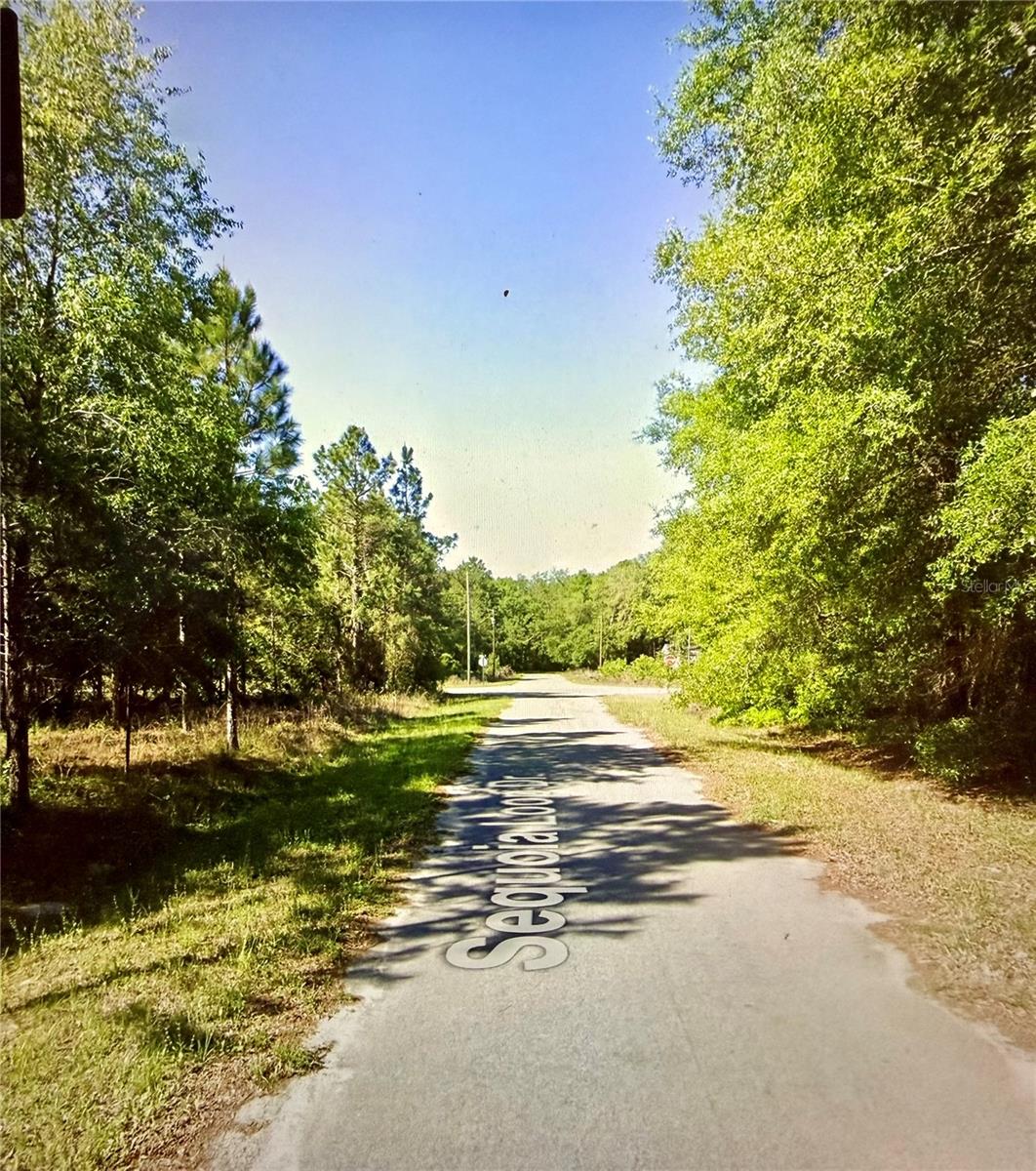 BEST PRICED LOT IN THE AREA!!!

Discover the perfect opportunity to own land in the growing community of Ocklawaha, located in beautiful Marion County. This vacant residential lot offers a great setting for a future home, investment property, or weekend retreat surrounded by Florida’s natural beauty.

Enjoy the quiet lifestyle while still being conveniently located near Ocala, lakes, trails, parks, and outdoor recreation. The area is known for boating, fishing, hiking, and access to the Ocala National Forest.

Whether you are looking to build now or hold for future investment, this property offers excellent potential in an area experiencing continued growth and development.