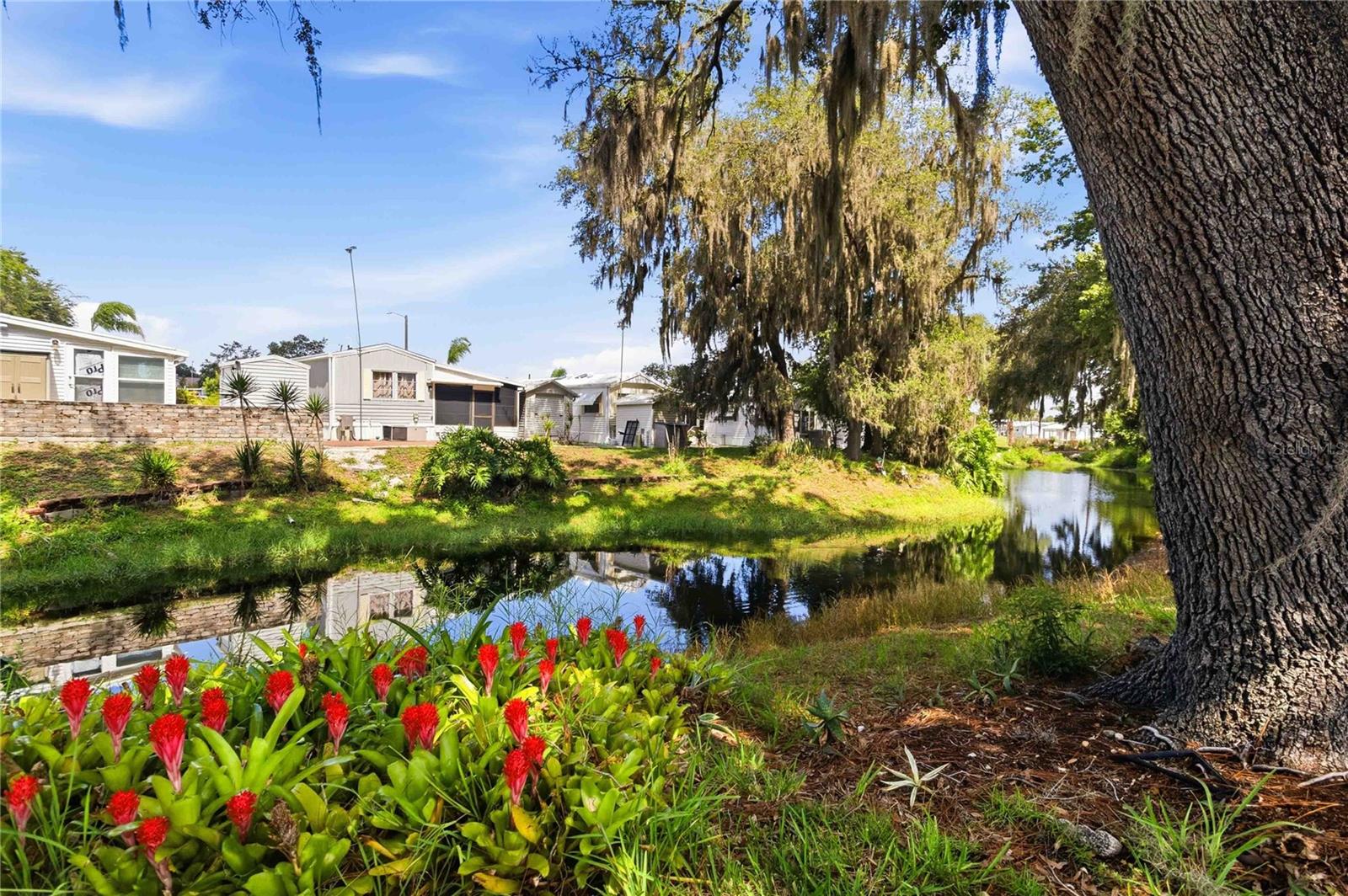 CITRUS RIDGE PH 01 - Residential