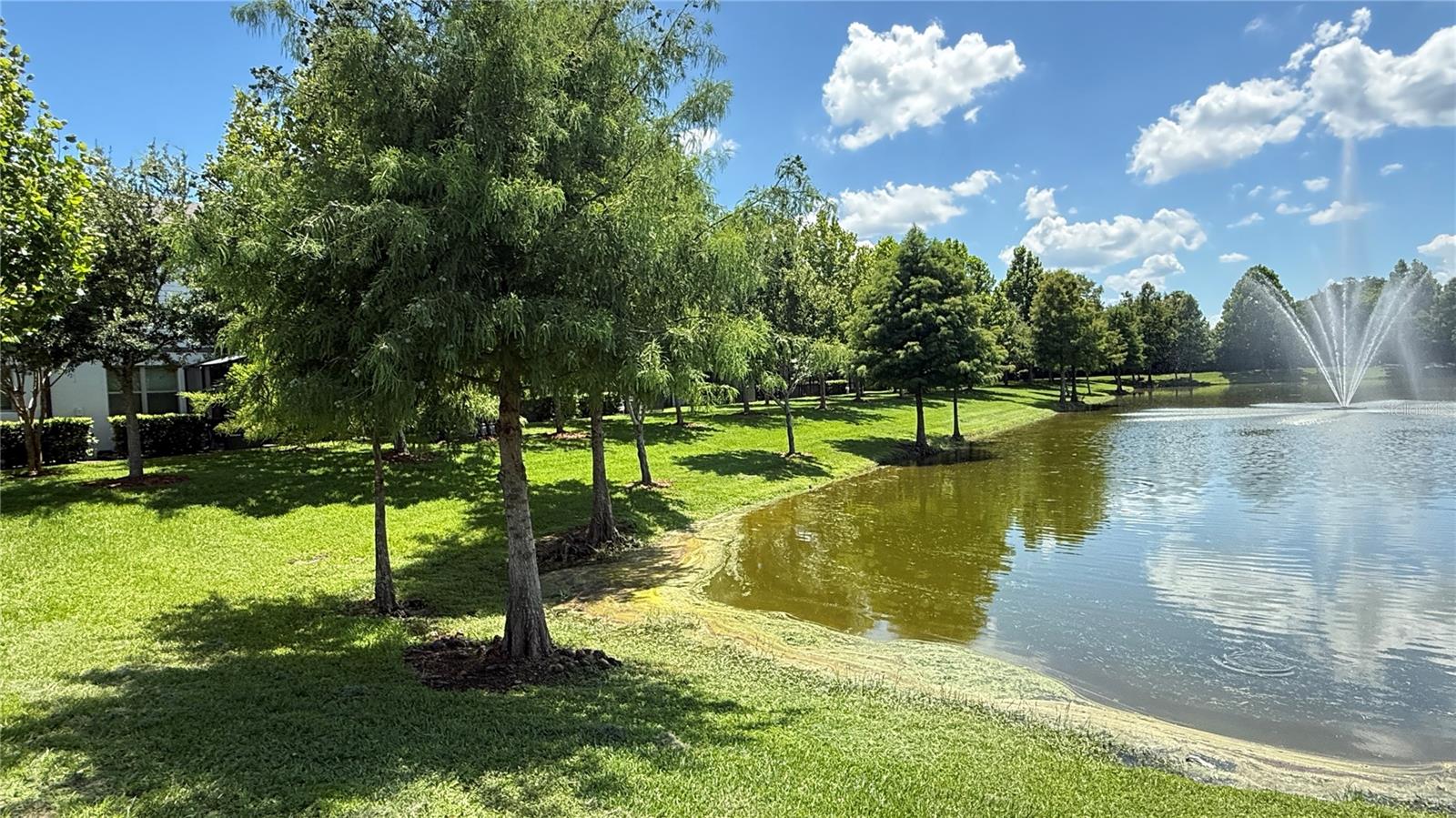 TOWNS AT WHITE CEDAR - Residential