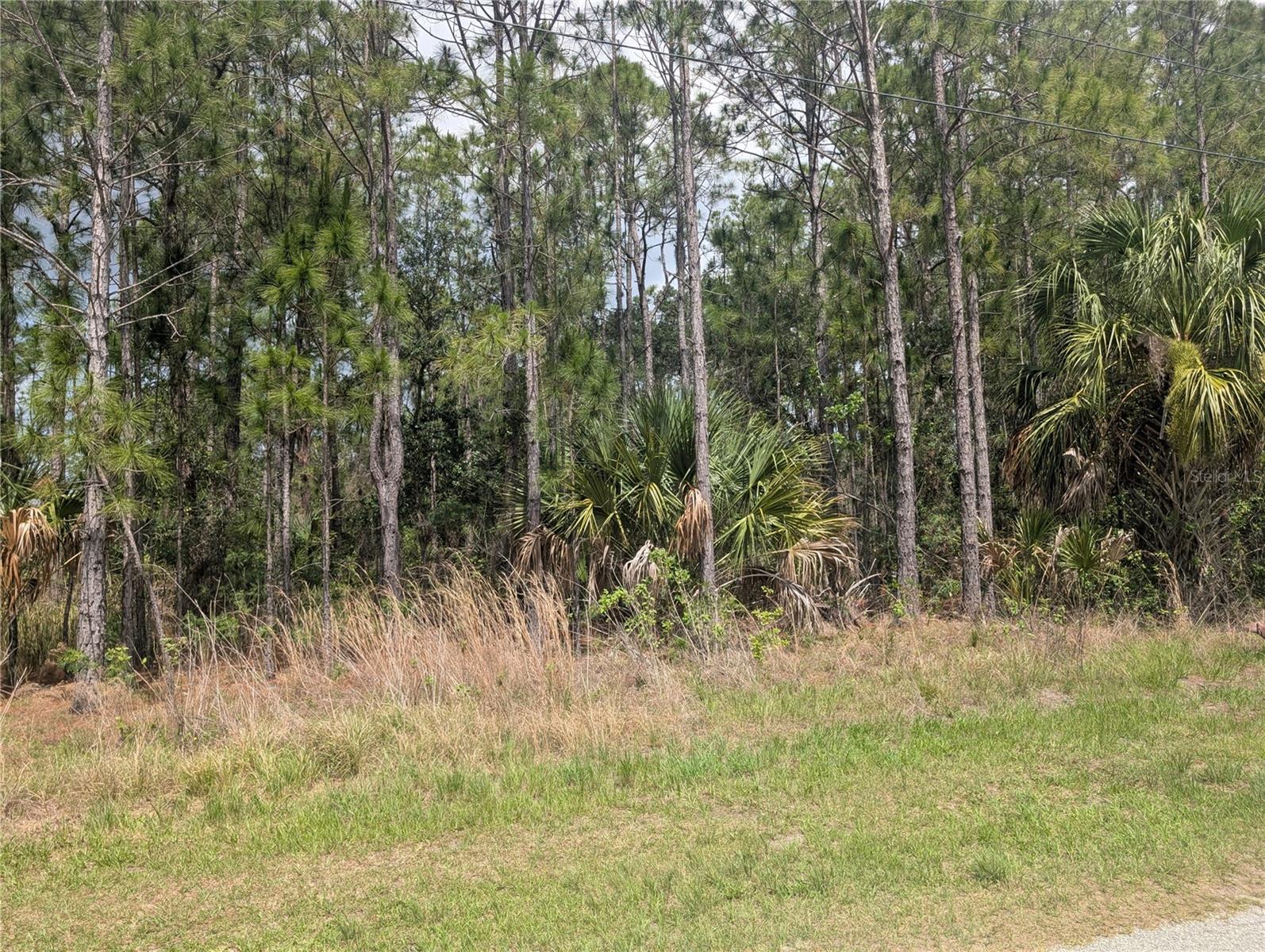 Come build your forever home on this one-half acre CANAL lot that located in the lake community of Indian Lake Estates, a golfing, fishing and boating community in the center of Florida. You can be out on Lake Walk in Water fishing in just minutes! Indian Lake Estates is about 20 miles east of Lake Wales. The community surrounds the 7,500 acre lake locally known as Lake Walk In Water, nationally known for its fishing and considered to be one of the best bass fishing lakes in all Florida. The lake has a beach, boat ramp, boat marina and the longest freshwater Fishing pier in the State of Florida. The pavilion is located at the front of the pier and is complete with propane grills and covered picnic tables. The community amenities include an 18-hole golf course, basketball and tennis courts, 23, 000 sq.ft. clubhouse, cafe, post office, churches, library, fitness room and pro shop. If you love nature and the peace and quiet of the country you're in luck. Wildlife is plentiful! You will see deer, raccoon, turkey, turtles, cranes and various species of birds that call Indian Lake Estates their home. Orlando and Disney is only about an hour's drive north and Tampa, Busch Gardens, and the Gulf's pristine beaches only a little over an hour An authentic Florida dude ranch and full-service resort offering guests the opportunity to experience "Old Florida." Encompassing 1,700 beautiful acres, Westgate River Ranch features horseback riding, wildlife airboat and swamp buggy rides, Saturday night championship rodeo, trap/skeet range, nature hikes, petting farm, marina, Adventure Park with zip line and rock climbing wall, Westgate Smokehouse Grill and River Ranch Saloon and much more. Cowboy-themed accommodations range from ranch-themed lodge guestrooms and deluxe lodge suites to spacious cottages, two-bedroom cabins, Glamping and Luxe Teepees. Come out and see how great life can be at Indian Lake Estates! Polk County's best kept secret.