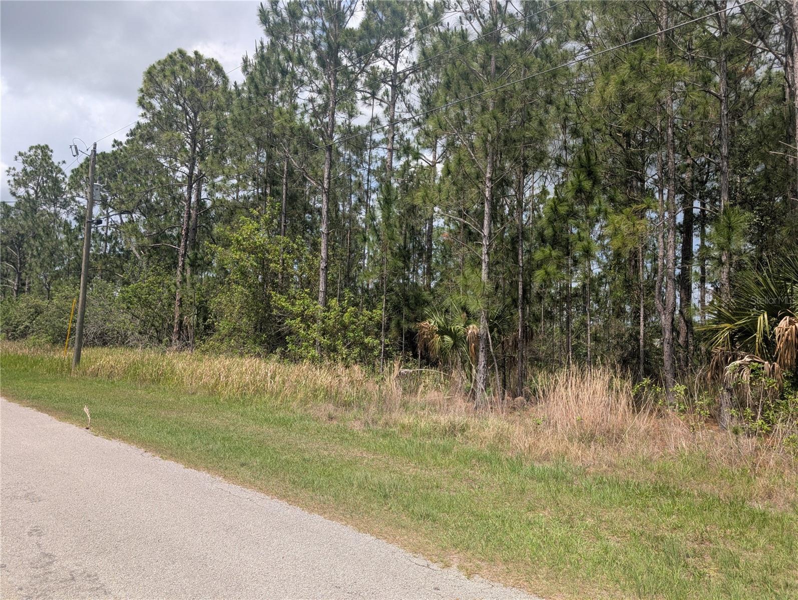 INDIAN LAKE ESTATES - Land