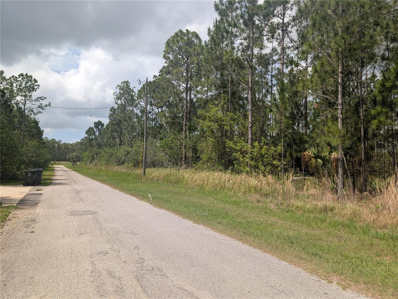 INDIAN LAKE ESTATES - Land