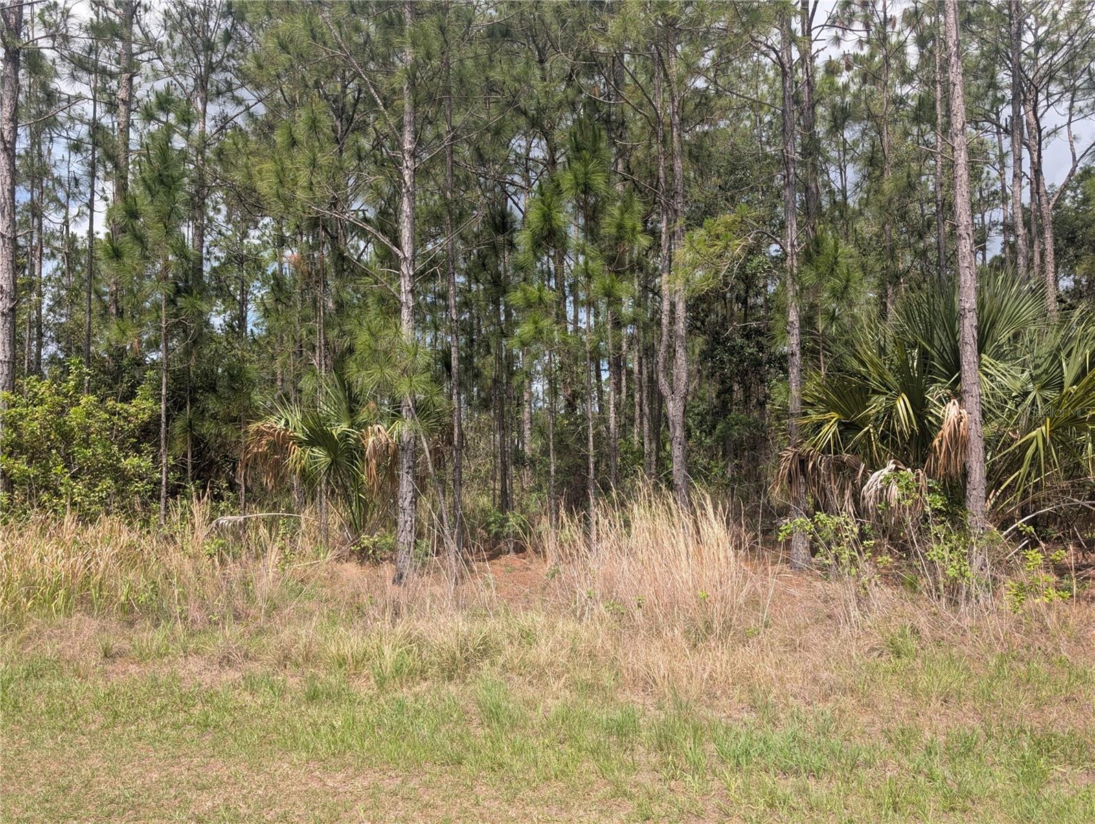 INDIAN LAKE ESTATES - Land
