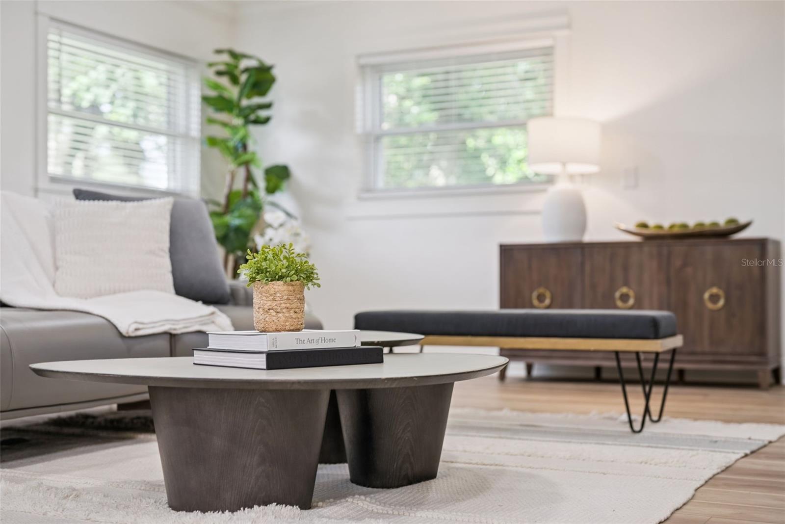 DRUID HILLS PARK - Residential