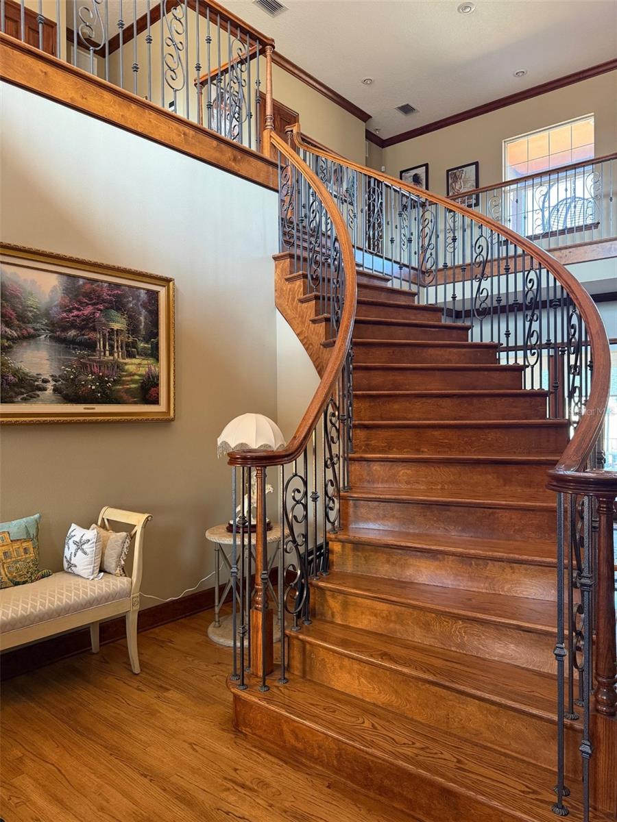 HUNTER HILL - Residential