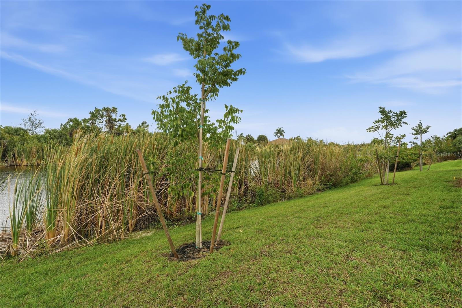 PORT CHARLOTTE SEC 081 - Residential