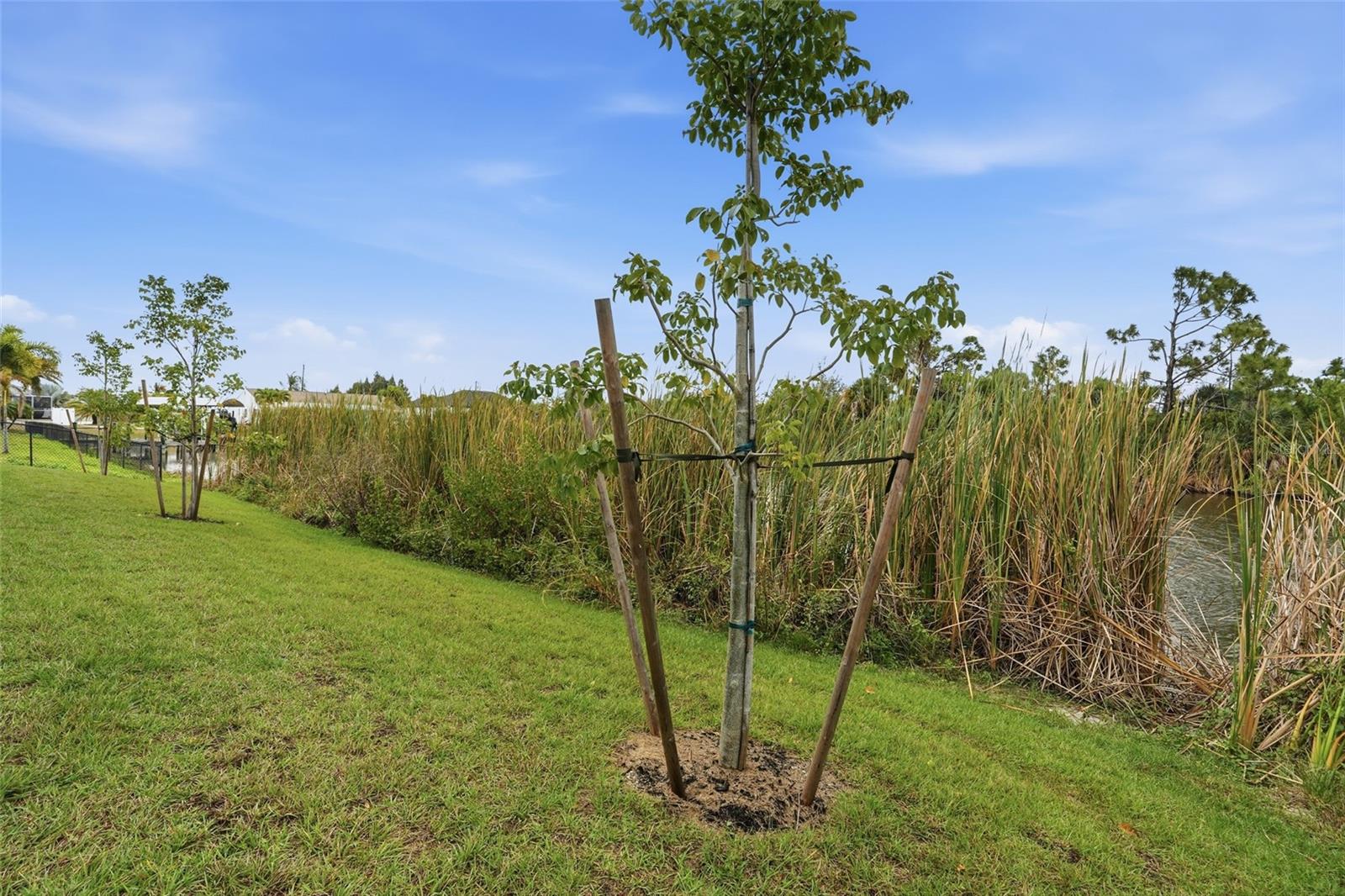PORT CHARLOTTE SEC 081 - Residential