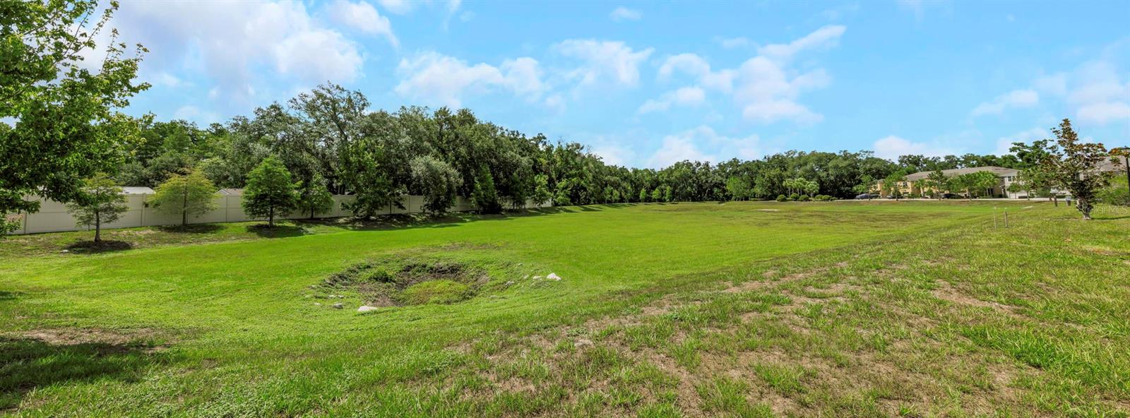 LAKEVIEW/CITRUS PARK - Residential