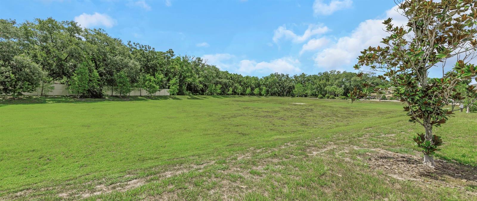 LAKEVIEW/CITRUS PARK - Residential