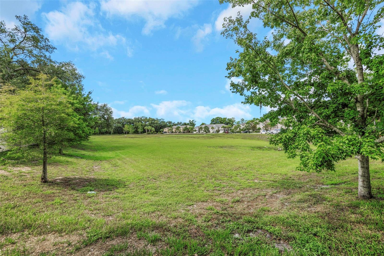 LAKEVIEW/CITRUS PARK - Residential