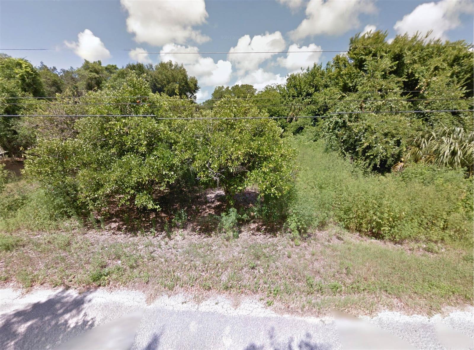 Great opportunity to build dream home! 
Seller will fiance $26,250.00 at 8% interest only for 2 years, no prepayment penalty. Seller to provide note and mortgage, buyer pays for document preparation and recording fees.; Cleared: No