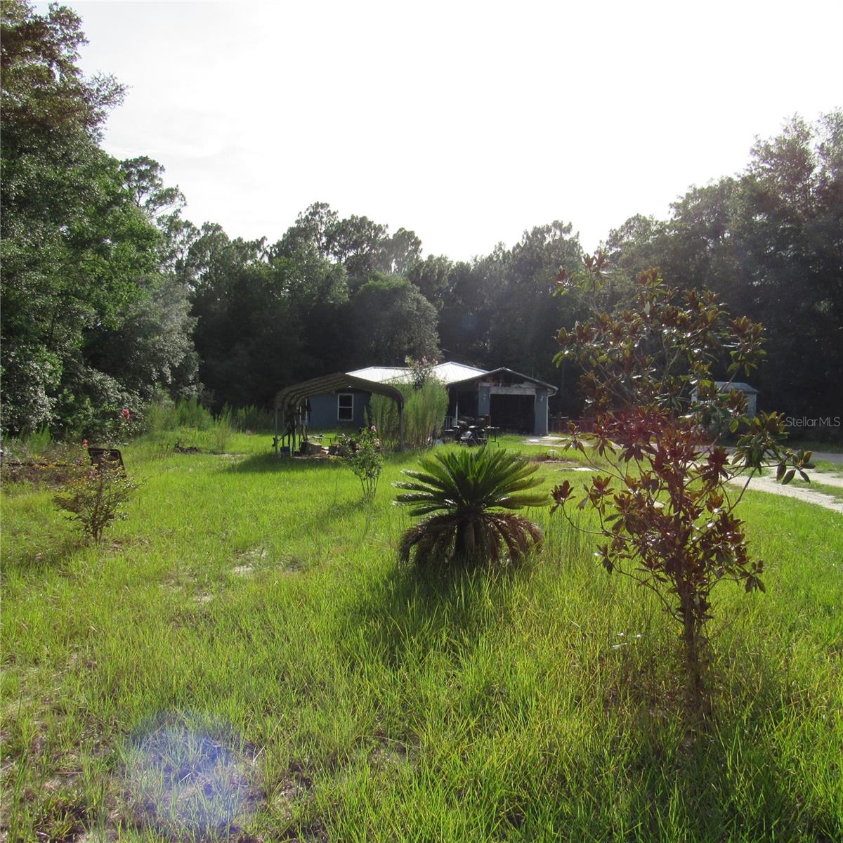 LAKE TROPICANA RANCHETTES - Residential