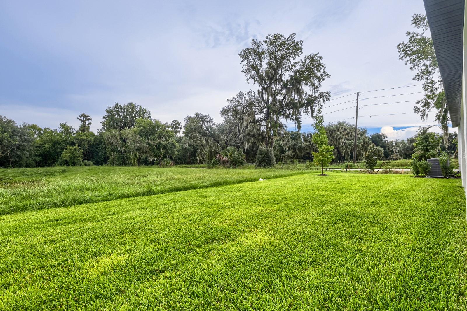 THE GROVE AT STUART CROSSING - Residential