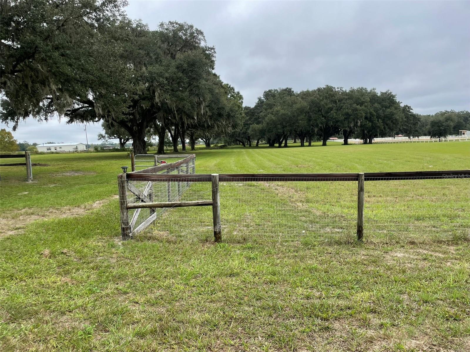 REDUCED!!  10 Beautiful acres with scattered granddaddy oak trees throughout. Located off Hwy 41 in a community of farms with no HOA and just a short drive to Williston. Property has underground utilities, well and septic in place but not warrantied. Electric and well are currently in use. Many sites to build your dream home and outbuildings. Recent survey available. Short drive to shopping, restaurants and many attractions and recreational areas including Black Prong, Goethe Forest and the Rainbow River. Don't miss out on this property--it is a blank canvas just waiting for your ideas and dreams.