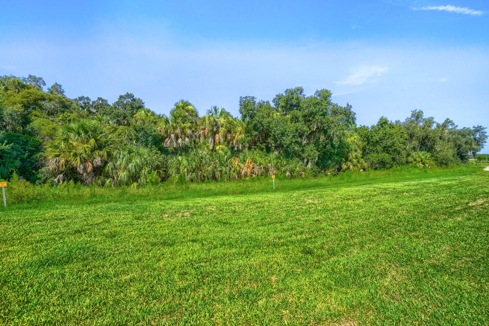 SALT MEADOWS - Residential