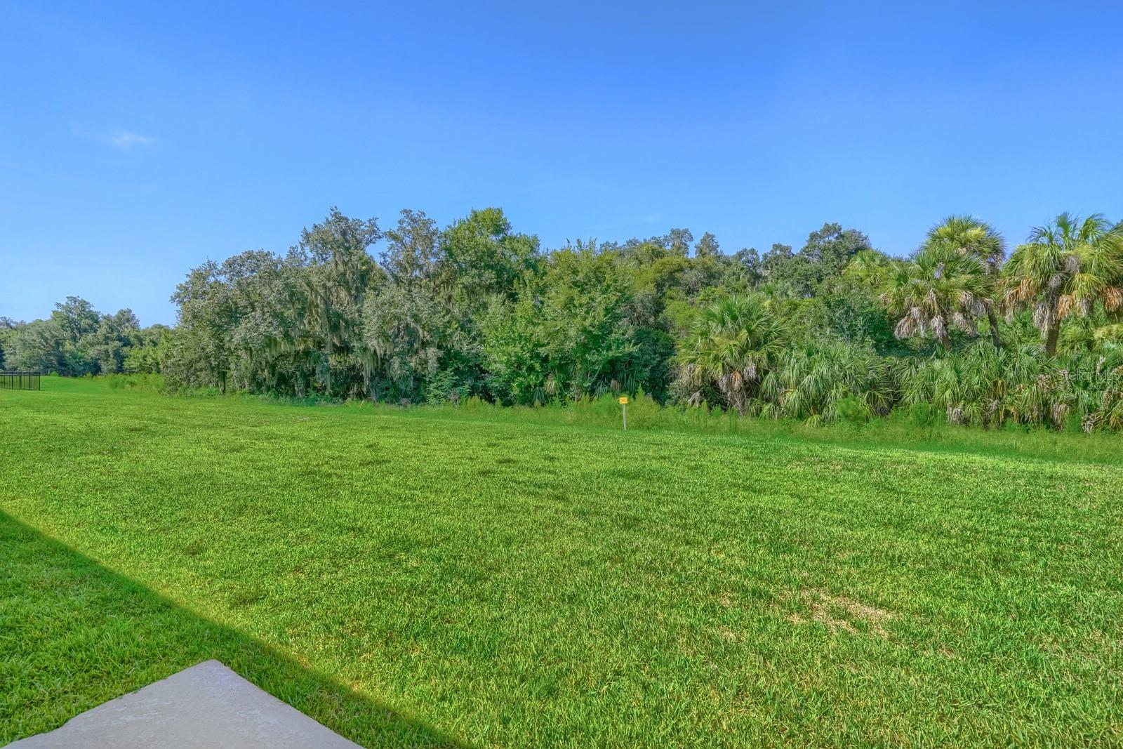 SALT MEADOWS - Residential