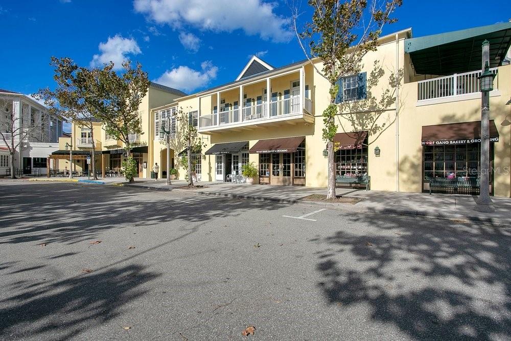 CELEBRATION SOUTH VILLAGE UNIT 5 - Residential