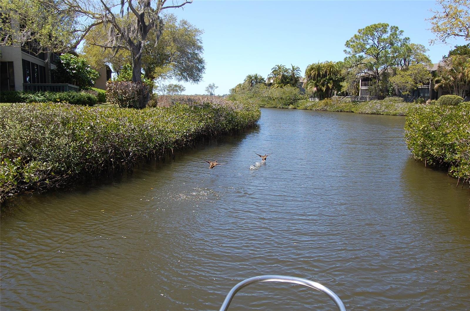 PELICAN COVE XIV - Residential
