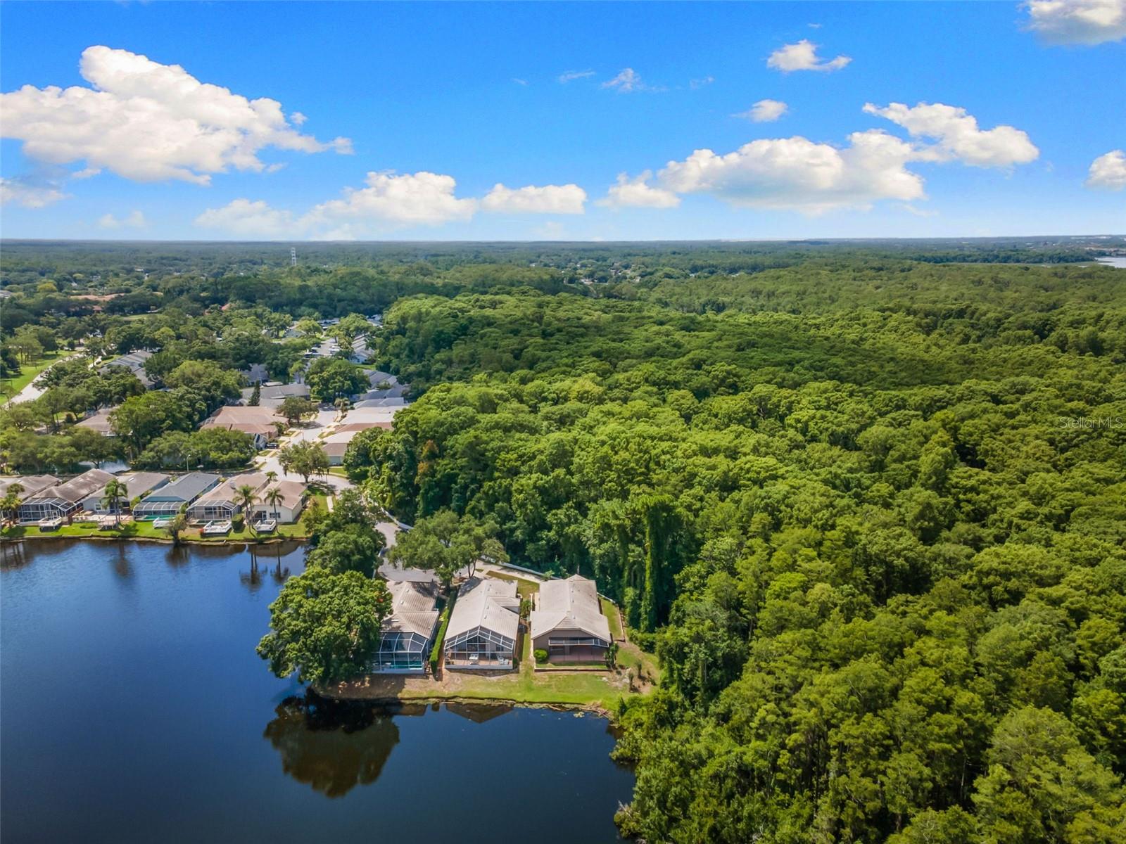 PARKSIDE AT LANSBROOK - Residential