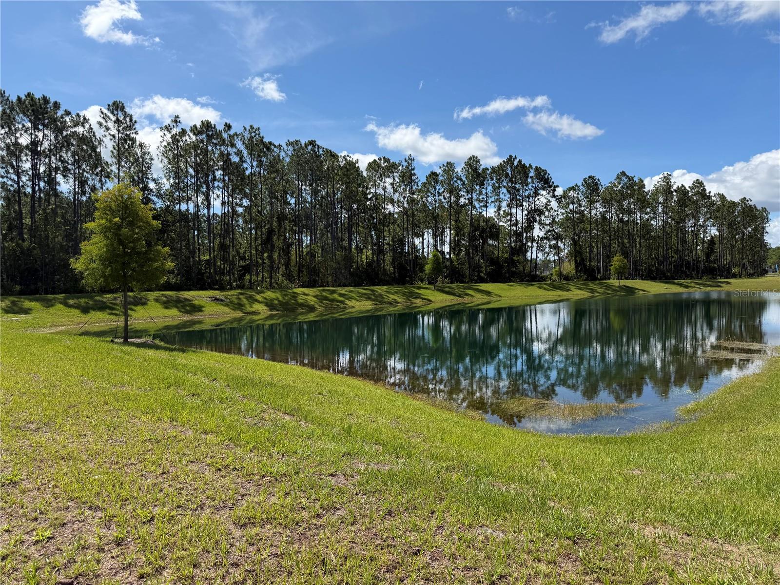 BRADFORD PARK - Residential Lease