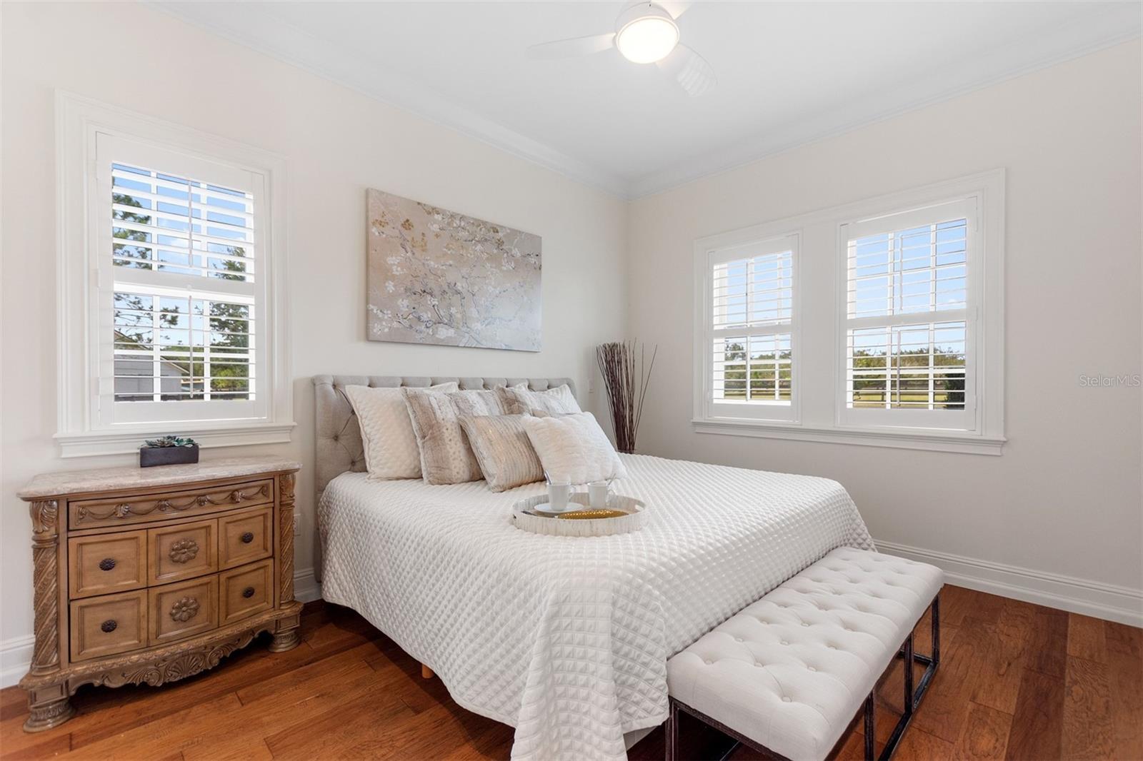 MILLS COVE - Residential
