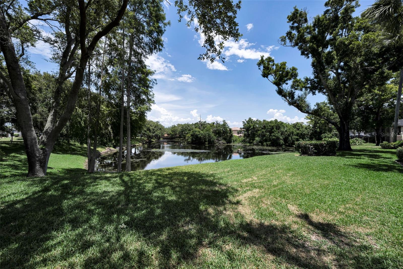 EAGLES GLEN CONDO - Residential