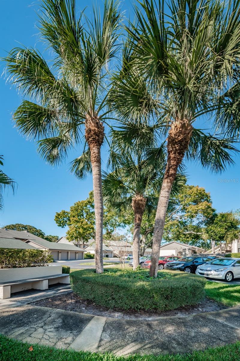 EAGLES GLEN CONDO - Residential