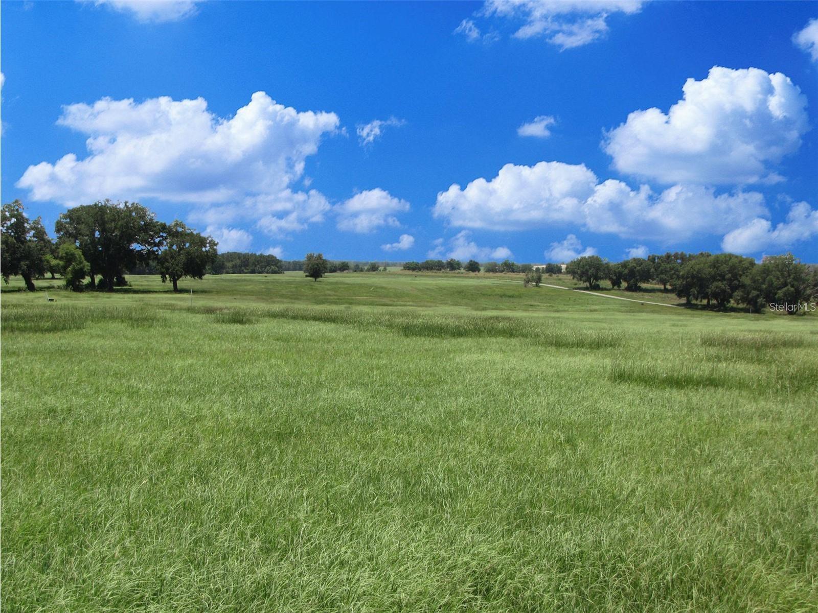 VISTA POINTE FARMS - Land