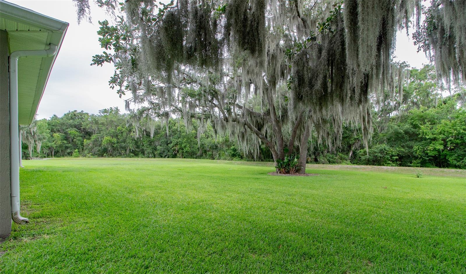 BLACKWATER OAKS - Residential