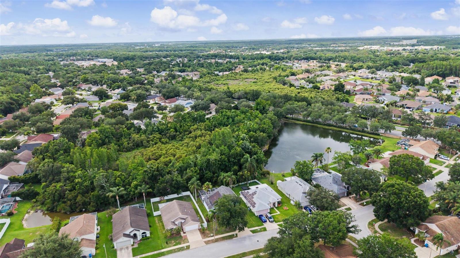 MEADOW POINTE - Residential
