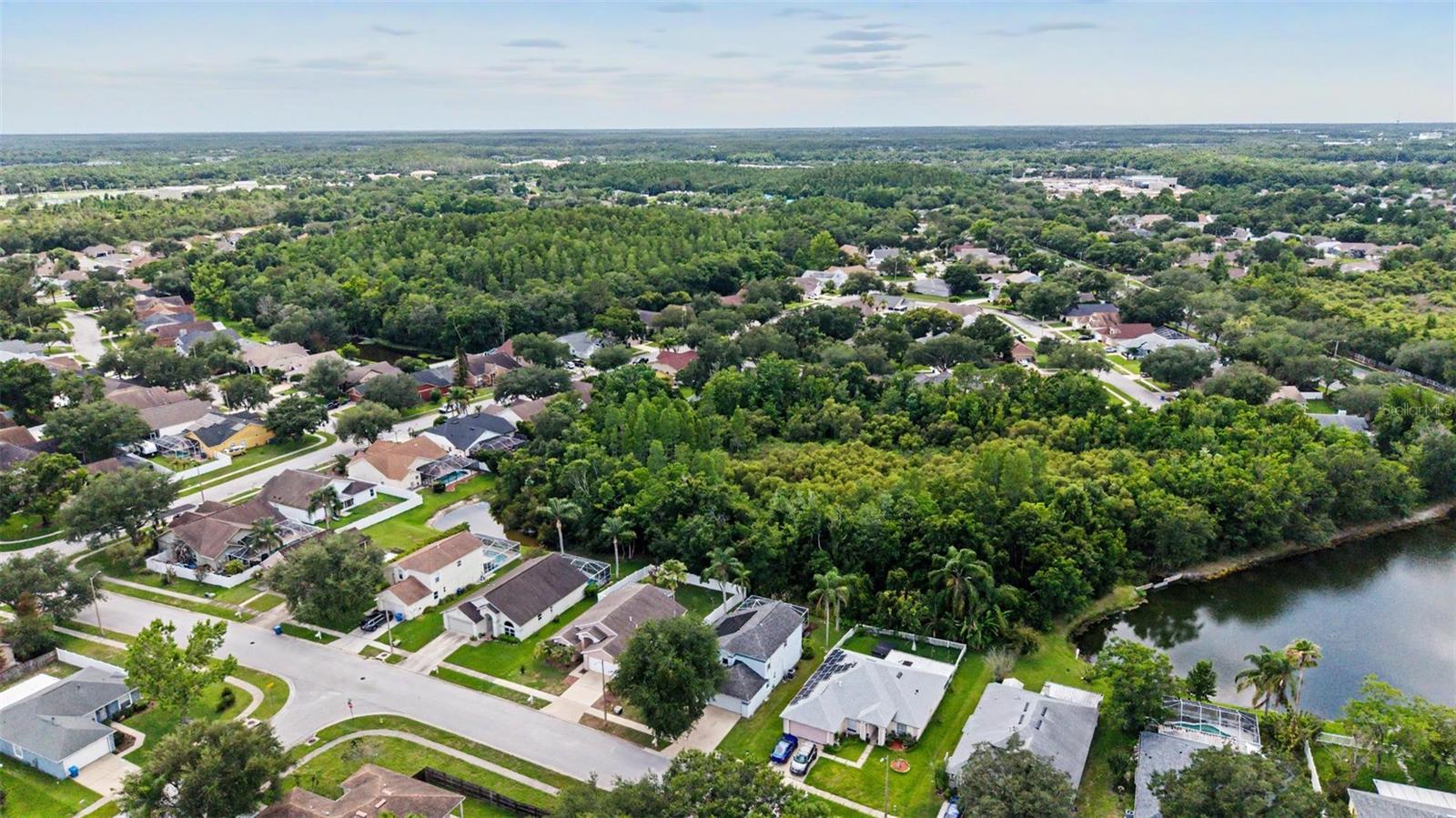 MEADOW POINTE - Residential