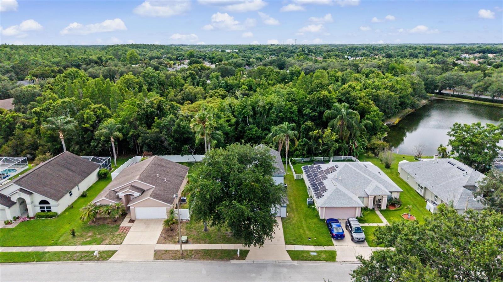 MEADOW POINTE - Residential