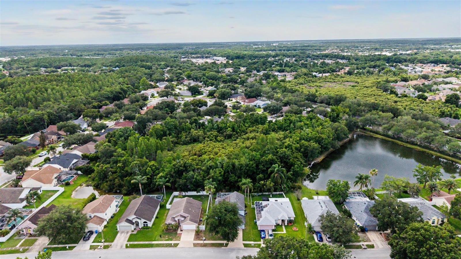 MEADOW POINTE - Residential
