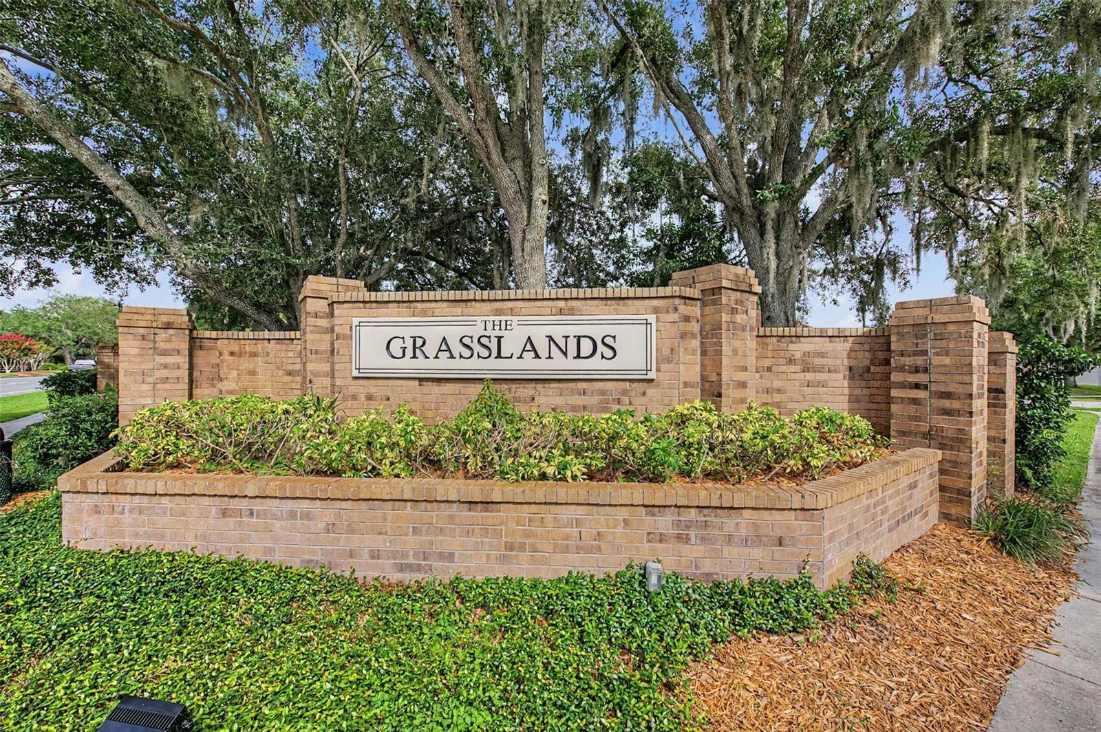 MEADOW POINTE - Residential